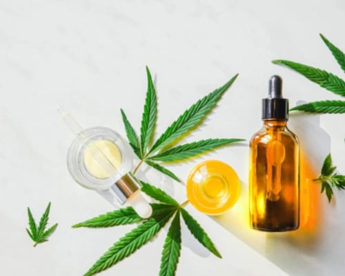 Medicinal Cannabis leaves and oil