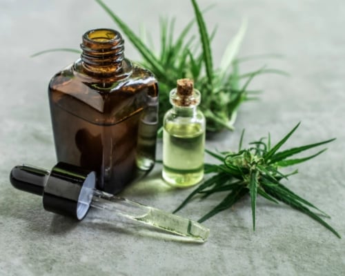 Medicinal cannabis plant, oil and drop