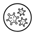 CDC
