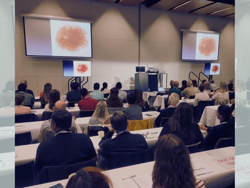 Conference-2