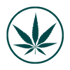 Medicinal cannabis icon-1