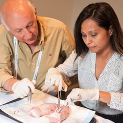 clinical procedures workshop