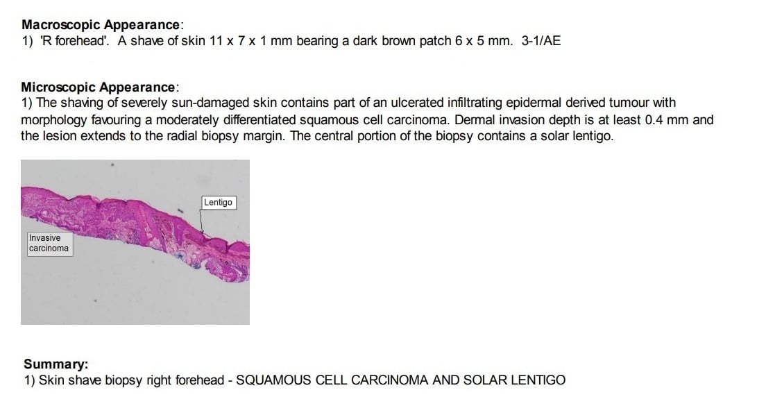 pathology-1