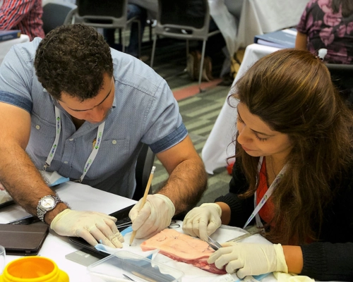 Doctors practicing skin cancer surgery