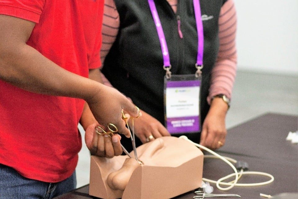 Non-Scalpel Vasectomy