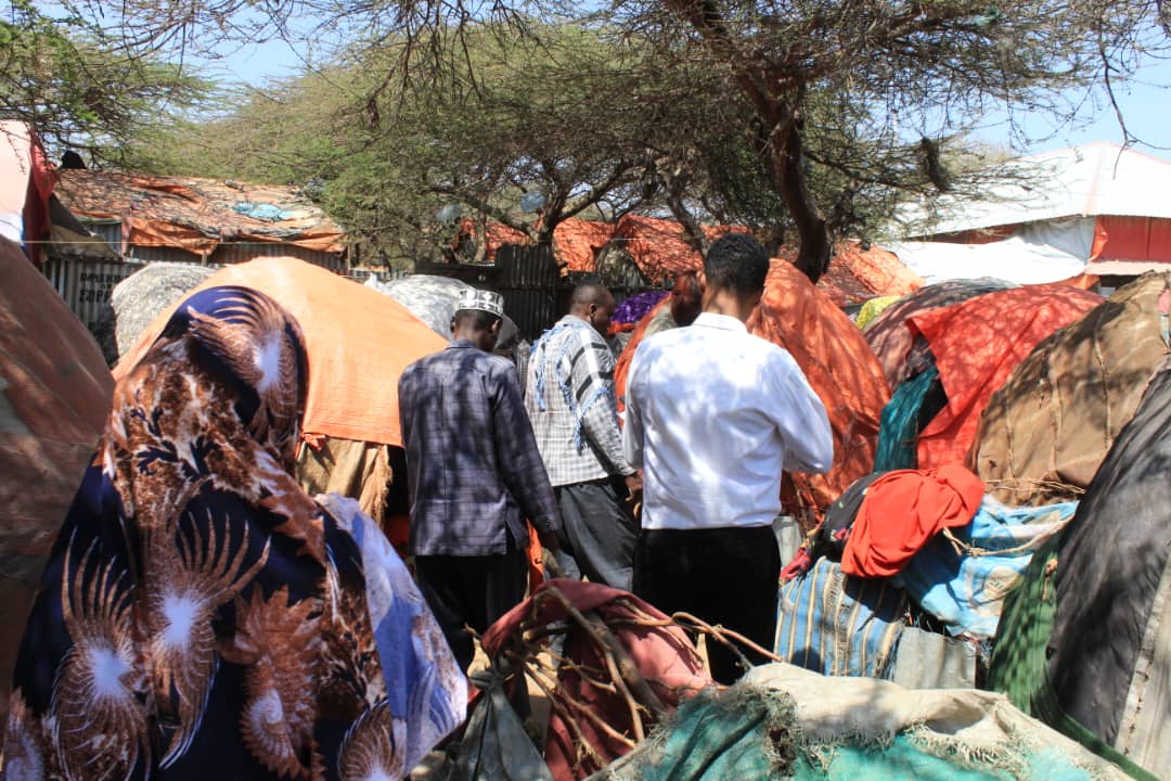 Doctors for Development scholarship