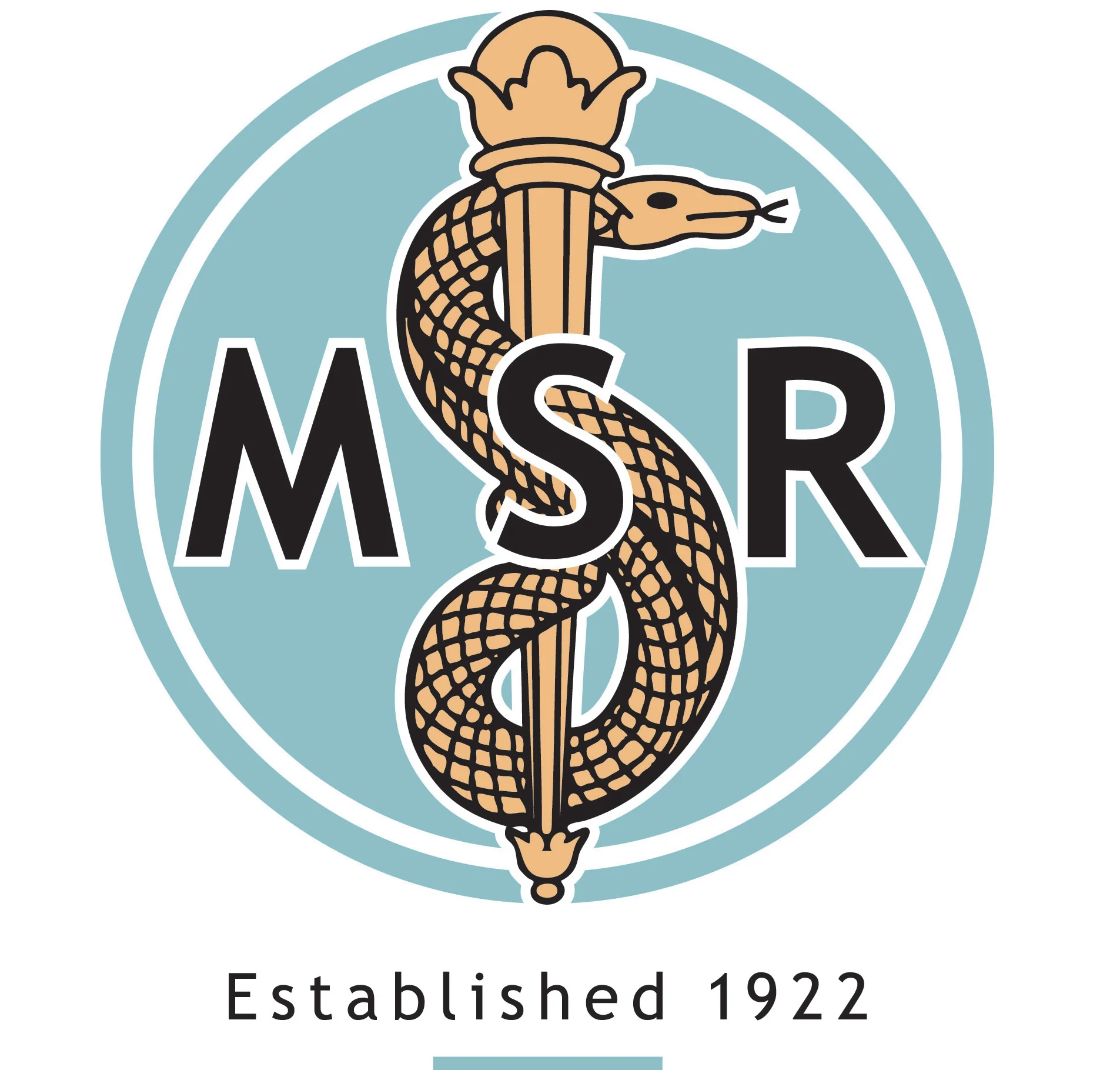 MSR logo