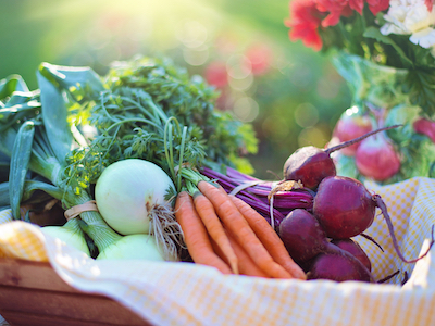 Nutrition