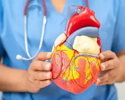 Foundation Certificate of Cardiovascular Medicine, Professional Certificate of Chronic Disease and Conditions, Professional Diploma of Geriatric Medicine, Professional Diploma of Men's Health