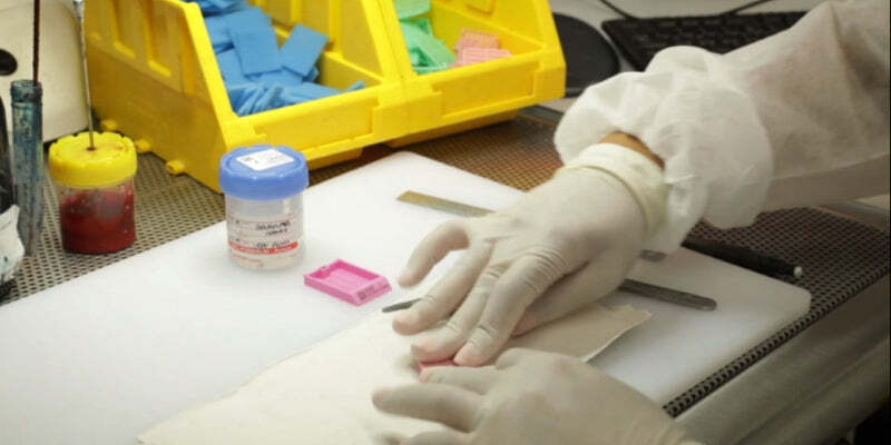 Dermatopathology