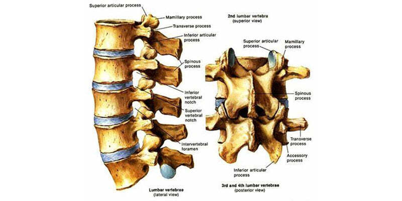 Low back pain