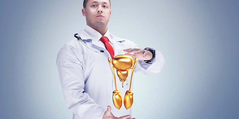 Male Anatomy and Clinical Problems 2