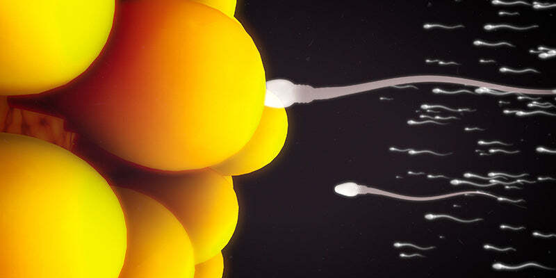 Penile conditions & Male fertility check