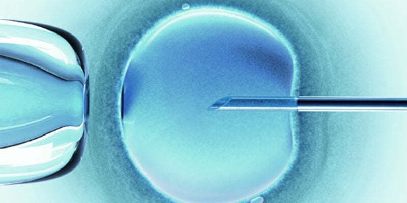 Women's Health - Infertility